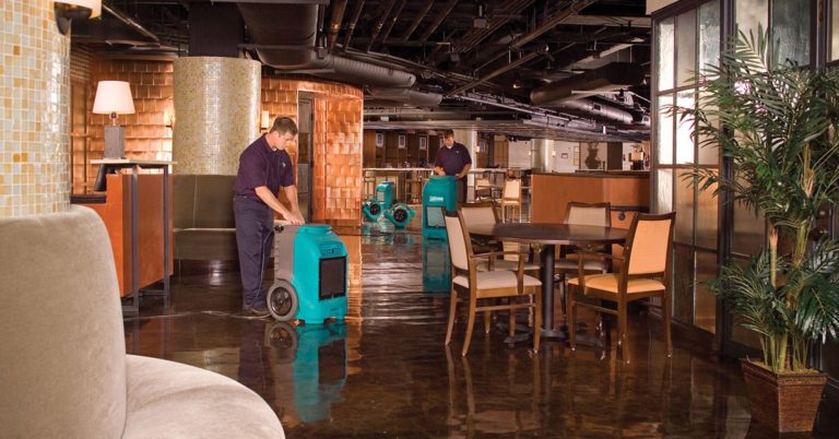 local water damage company St. Petersburg, FL