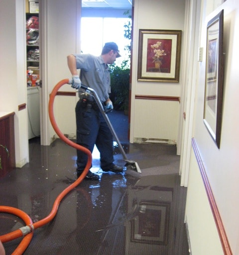 water restoration clean up St. Petersburg, FL